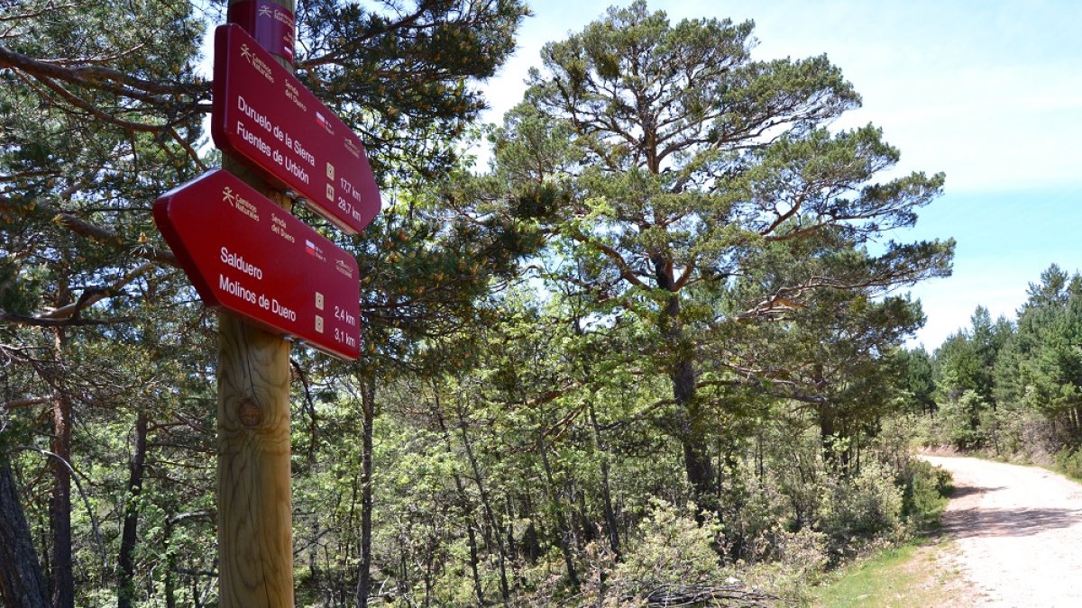 Indicaciones verticales de la Senda del Duero, en un tramo de la provincia de Soria.- FDMESCYL