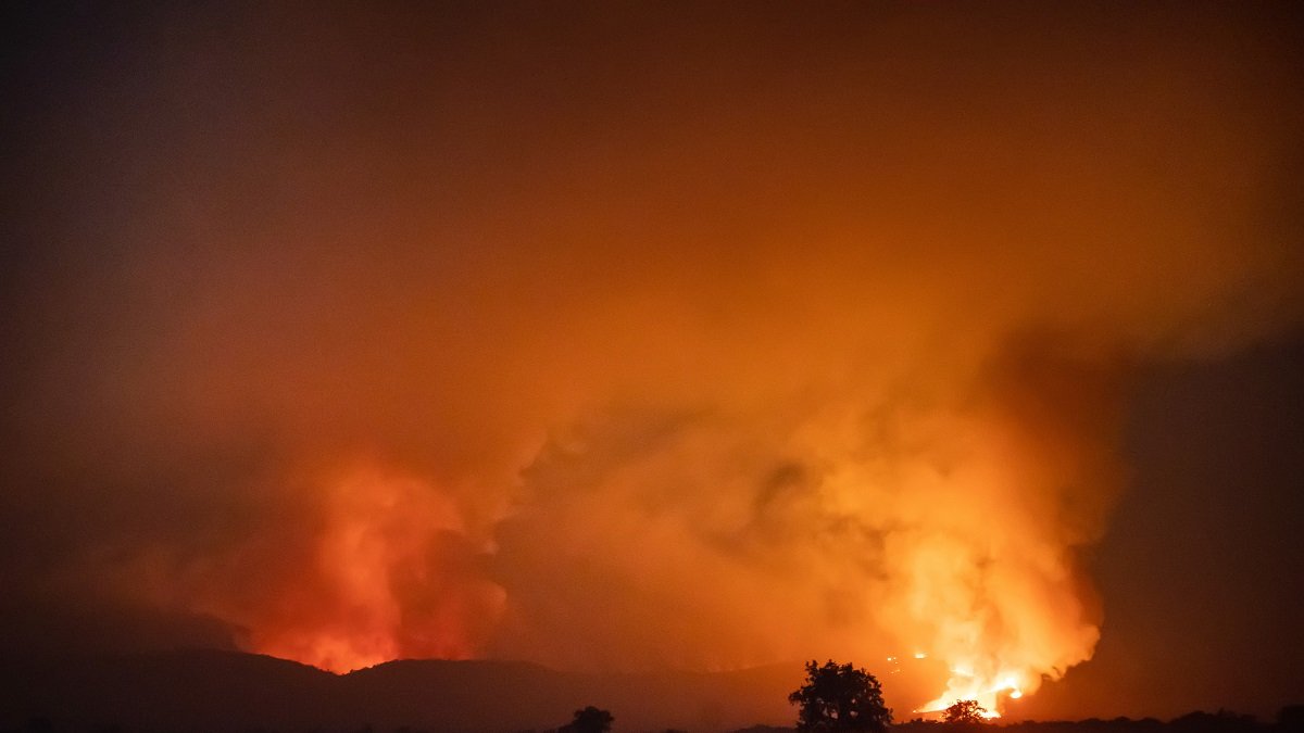 Incendio forestal de Monsagro en el termino municipal de Tenebrón, Salamanca. - ICAL