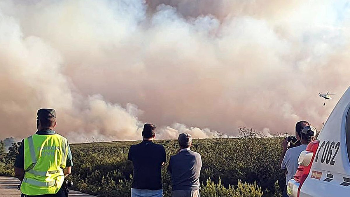 Incendio forestal en Gallegos del Río (Aliste), en Zamora. - ICAL