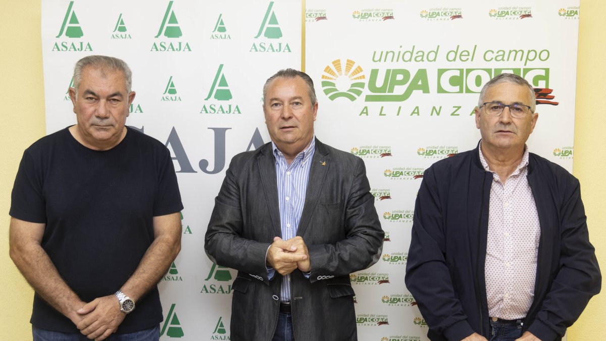 Los máximos responsables de Asaja y de la Alianza UPA-COAG analizan el difícil momento que atraviesa el sector como consecuencia del incremento de los costes de producción y la protesta conjunta convocada para el próximo 23 de septiembre en Valladolid. Ical