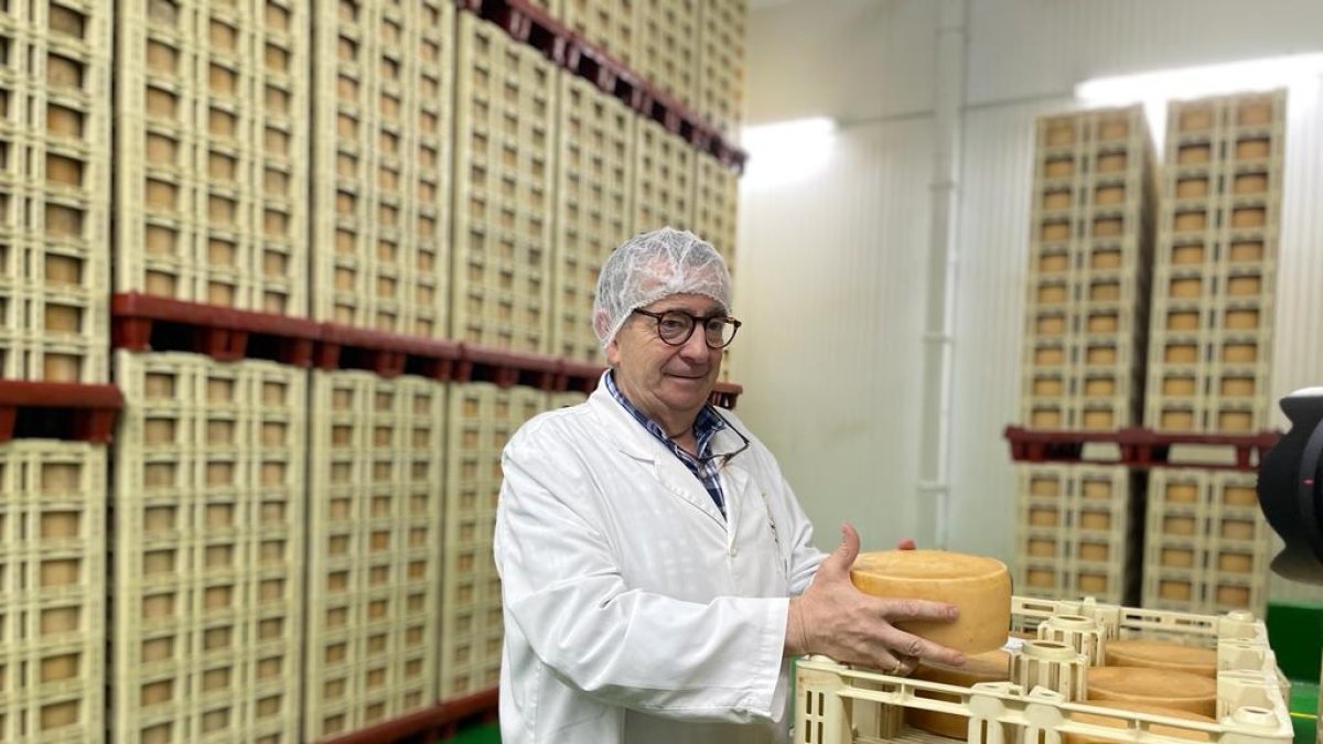 José Luis Moralejo muestra una de sus referencias de queso de oveja que madura en sus instalaciones antes de salir al mercado.- H.M.