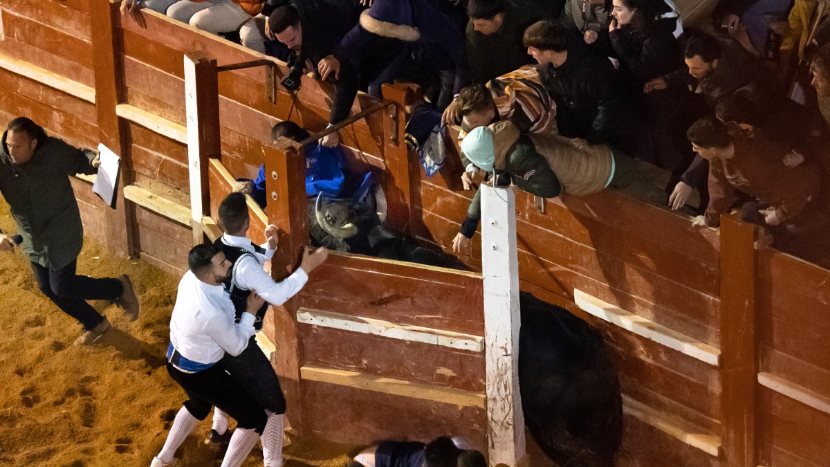 El concurso de cortes del Carnaval de Ciudad Rodrigo vio interrumpido su celebración después de que un toro saltara a un burladero y dejara tres heridos: uno de 19 años, natural de Salamanca; un varón de 36 años, de Yecla de Yeltes; y una joven de 23 años, de Valladolid. 