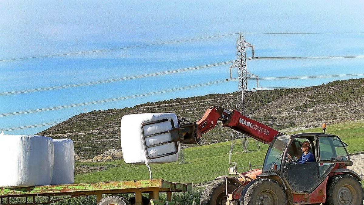 Un agricultor emplea maquinaria agrícola en las labores de empacado de trigo verde destinado a forraje en una explotación cerealista de la localidad palentina de Fuentes de Valdepero.- BRÁGIMO