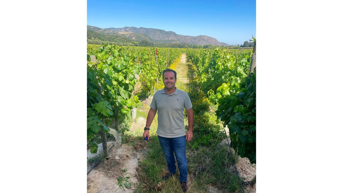 Gerardo Brox acumula 20 años de experiencia en los viñedos de Ribera del Duero. - E. M.