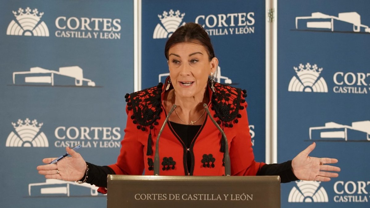 La secretaria de Organización del PSOECyL, Ana Sánchez.- ICAL