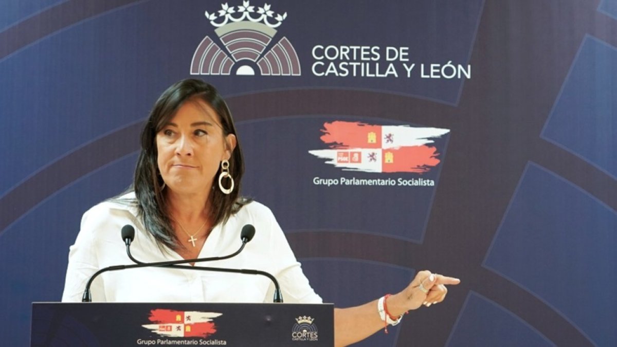 Ana Sánchez, secretaria de Organización del Partido Socialista de Castilla y León. ICAL