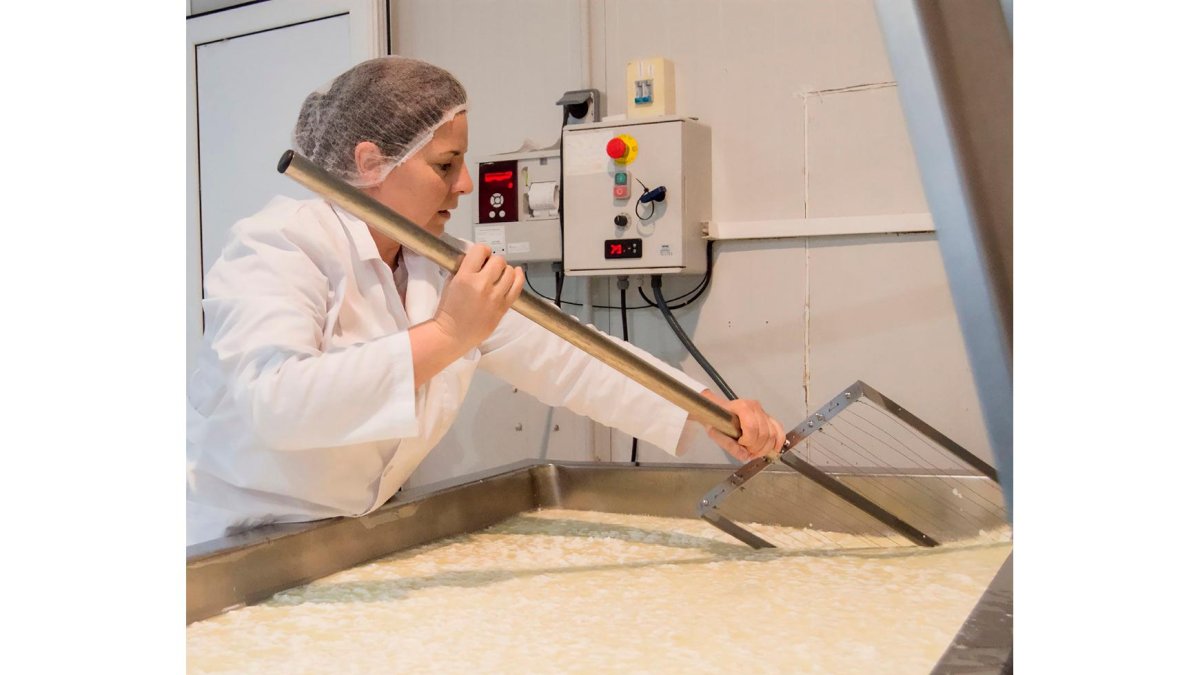 María José Casillas ha irrumpido en la zona con pastas blandas, tipo brie o camembert, en las que utiliza fermentos traídos directamente de Francia. - LA POSADA
