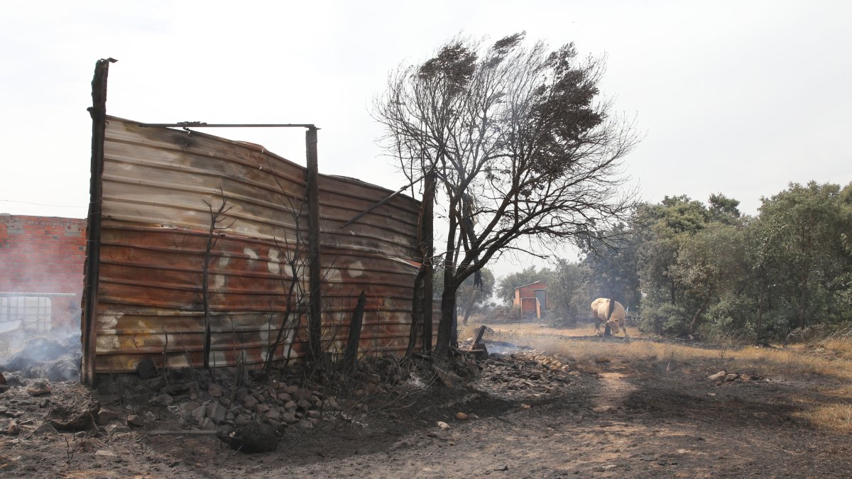 Incendio en Sierra de la Culebra, en Zamora.- ICAL