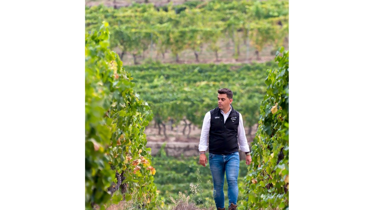 Pedro Ruiz Aragoneses pasea por los viñedos de Viña Meín-Emilio Rojo, en Ribeiro, uno de los proyectos que conforman Alma Carraovejas . - LA POSADA