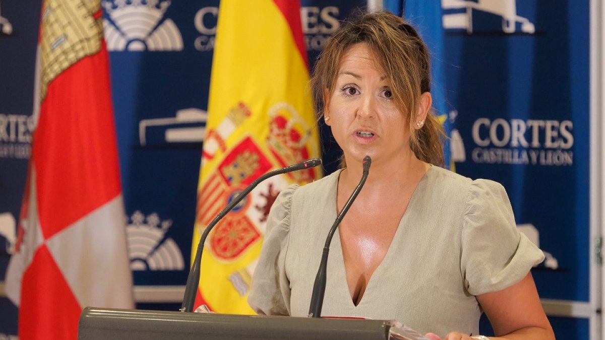 La portavoz adjunta del Grupo Parlamentario Socialista en las Cortes de Castilla y León, Patricia Gómez- ICAL
