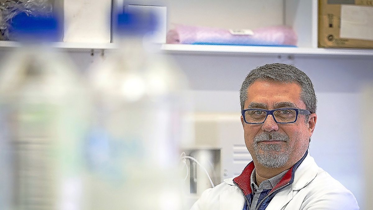 El inmunólogo vallisoletano Alfredo Corell en las instalaciones de la Facultad de Medicina. PHOTOGENIC  / MIGUEL ÁNGEL SANTOS