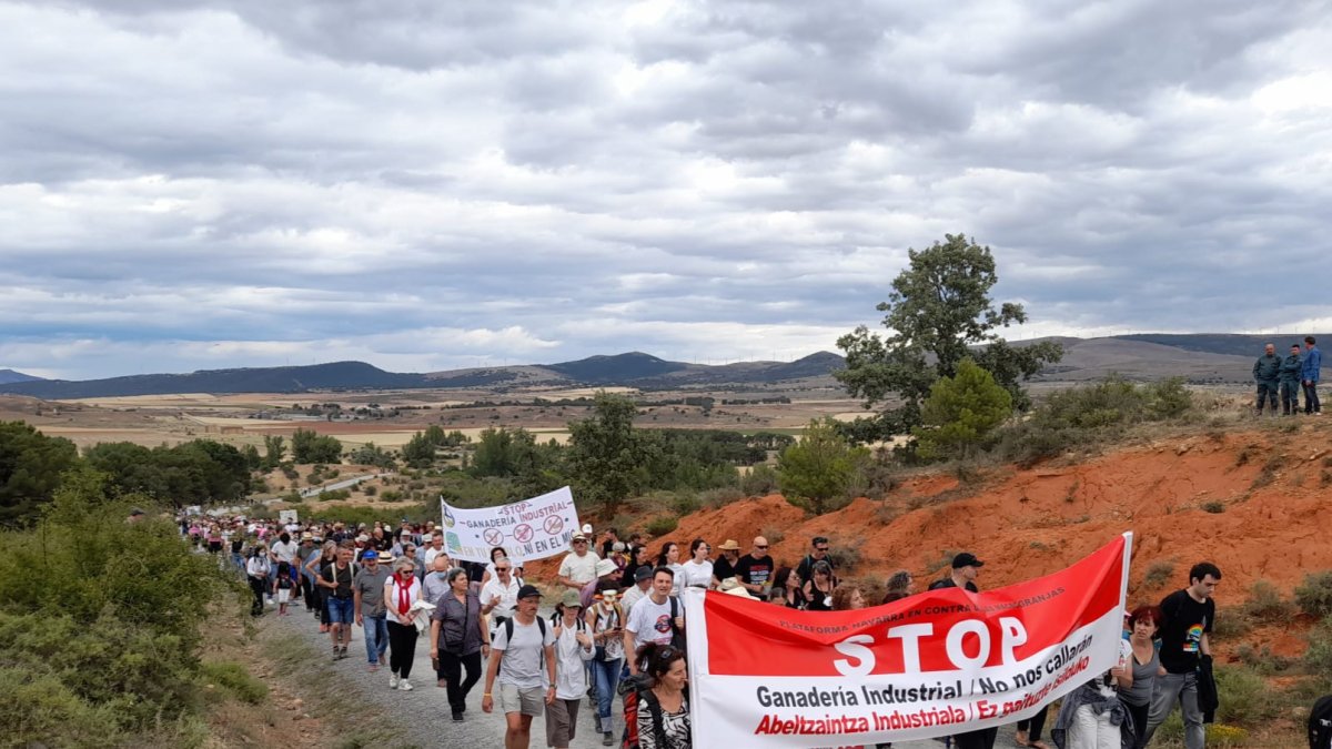 Manifestación contra la Macrovaqueria de Noviercas. Ical