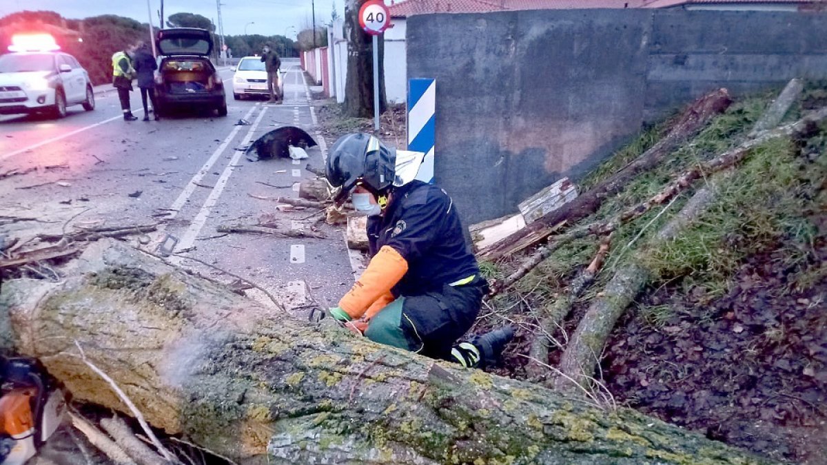 Los bomberos retiran árboles caídos por el temporal Hortensia en el municipio de Simancas. ICAL
