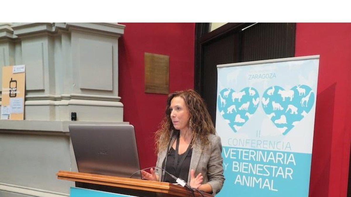 Olga Mínguez González,  jefe del Servicio de Sanidad Animal, en una imagen de archivo. -E. M.