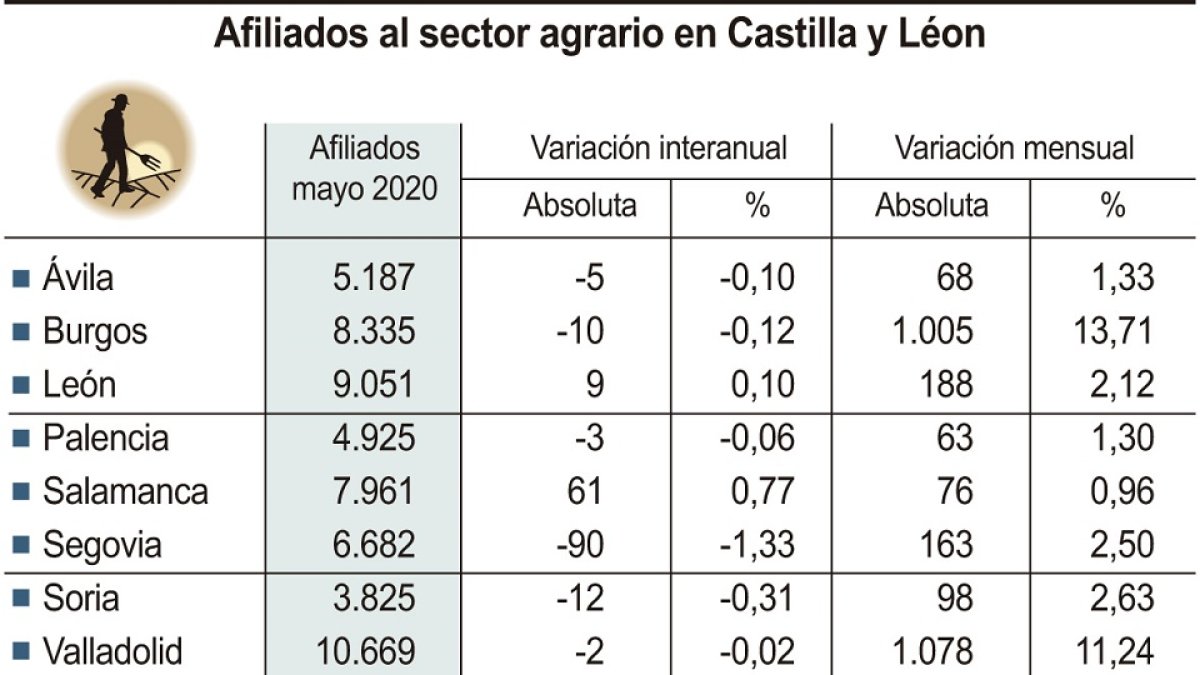 Afiliados al sector agrario en Castilla y León.- E.M