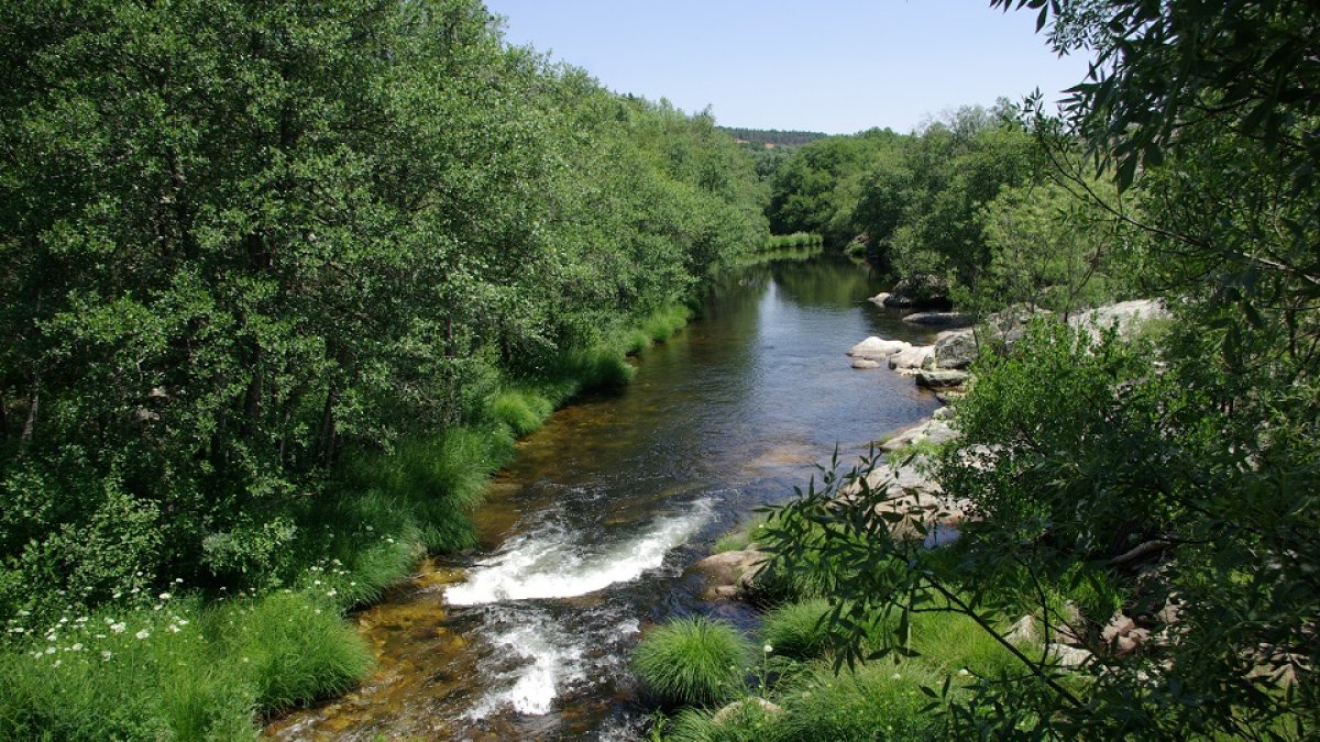 Río Aravalle (Ávila).-E.M
