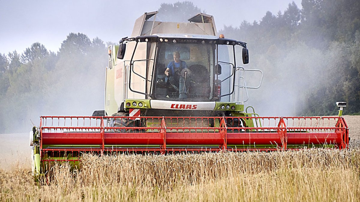 Una cosechadora recoge el grano en un campo de cereal durante una anterior campaña. PQS / CCO