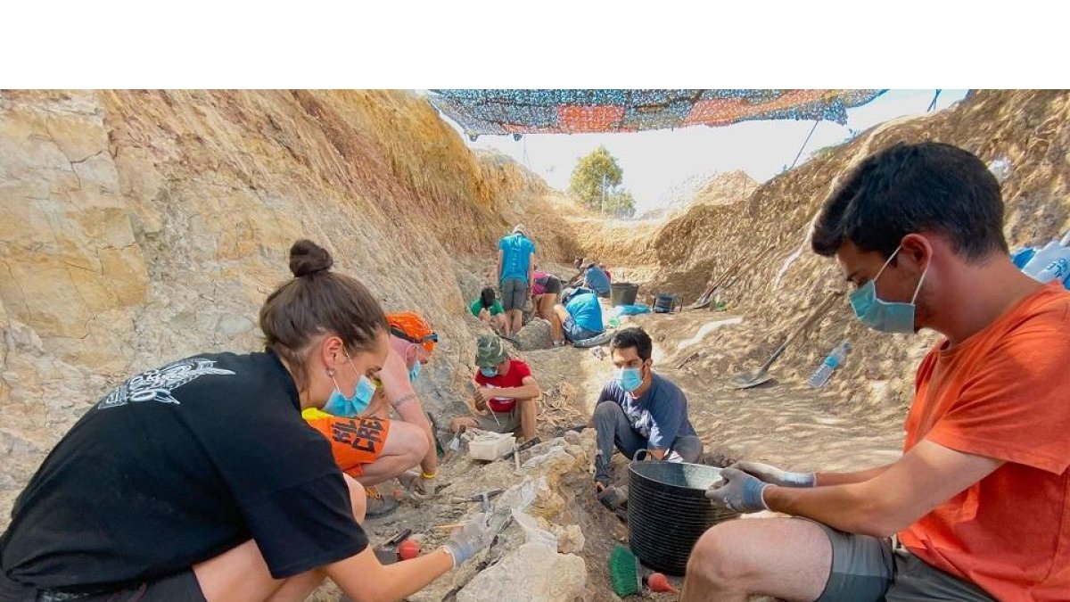 Excavación de Torrelara (Burgos) - EUROPA PRESS