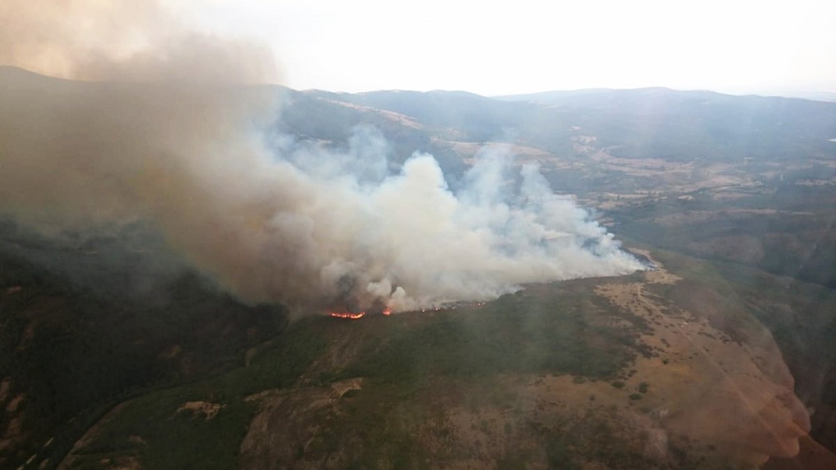 Incendio en Pineda de la Sierra (Burgos).- ICAL