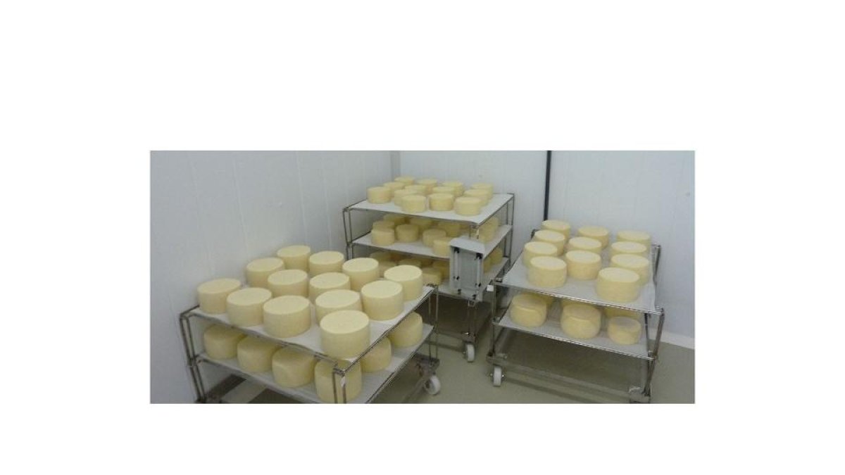Fotografía de los quesos que Asaja Palencia ha envíado al Hospital de IFEMA.- ASAJA