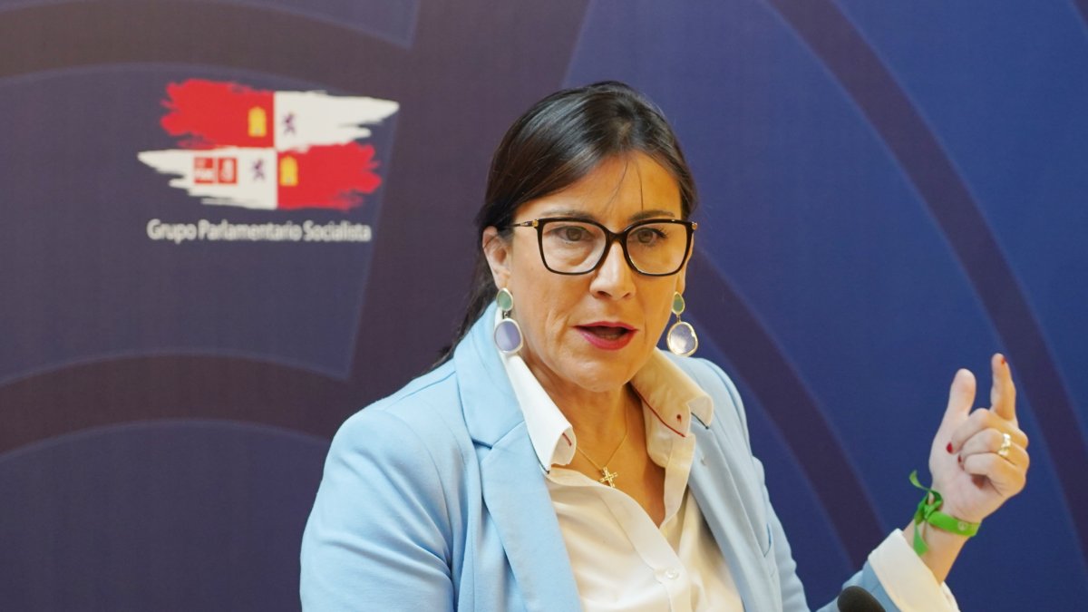 La secretaria de Organización del PSOE en Castilla y León, Ana Sánchez, comparece ante la prensa.