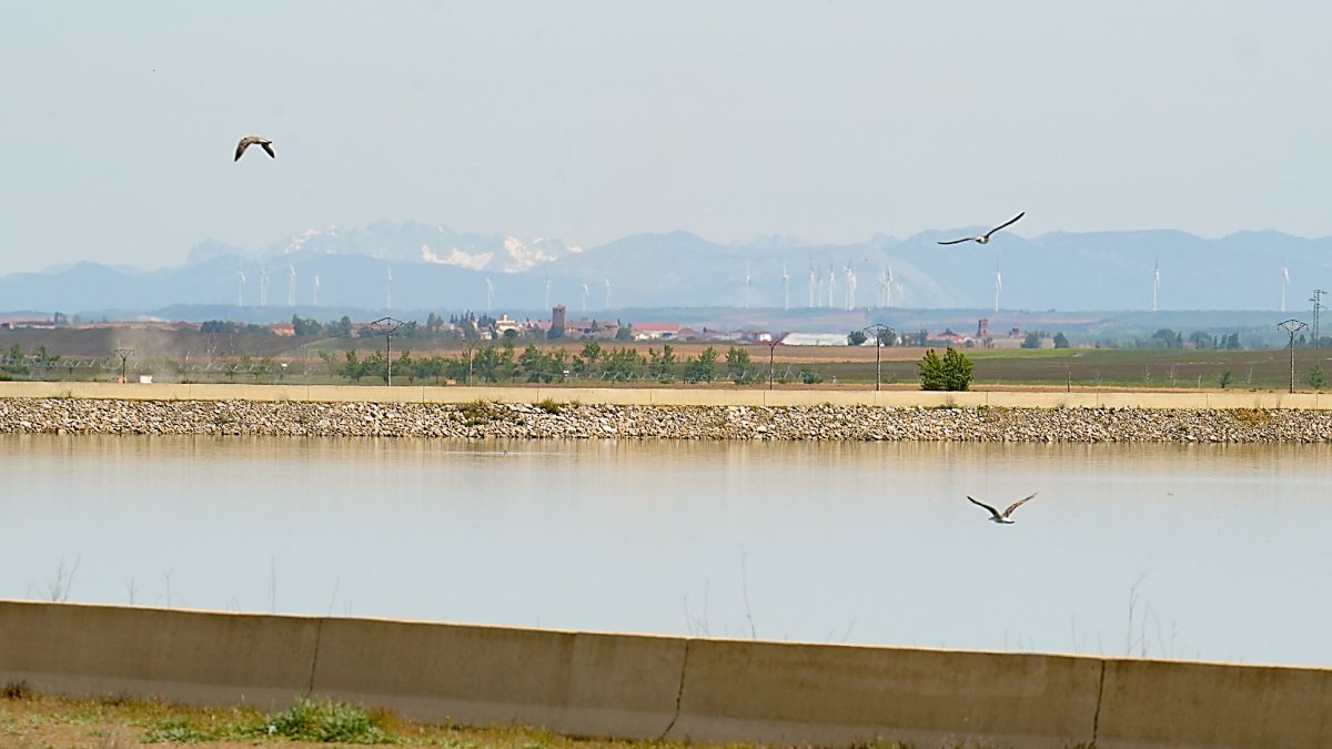 Embalse de Villalón, de 117 hectáreas.