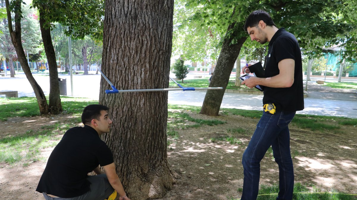 El responsable de ingeniería Sanpe, David Santos ; y el ingeniero forestal, Mario Lamela, analizan y miden árboles en el parque del Salón de Isabel II.