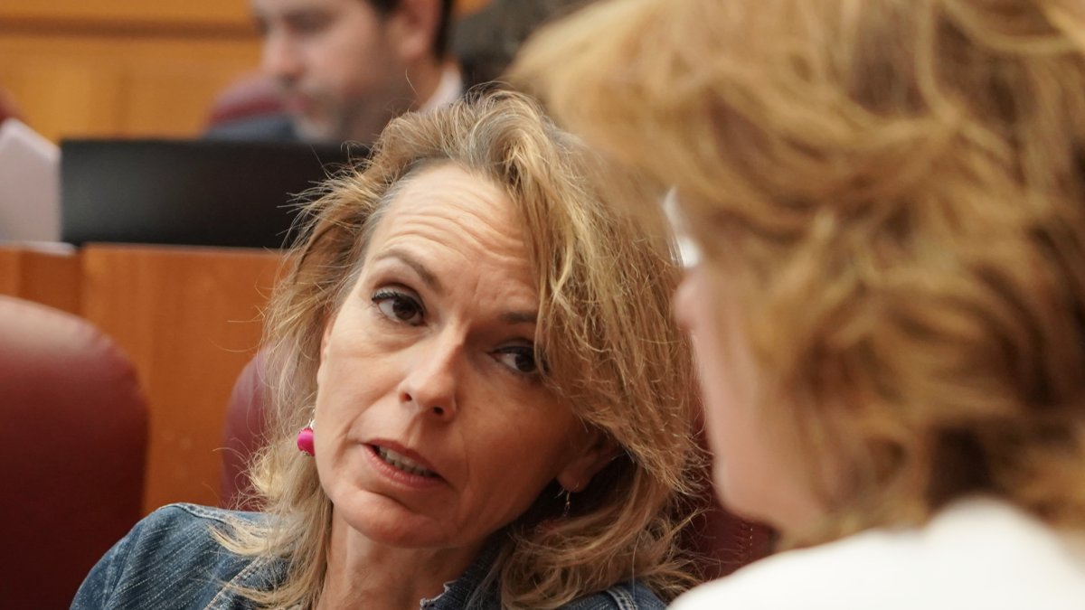 La procuradora del PP Lorena de la Fuente, en el Pleno de las Cortes.