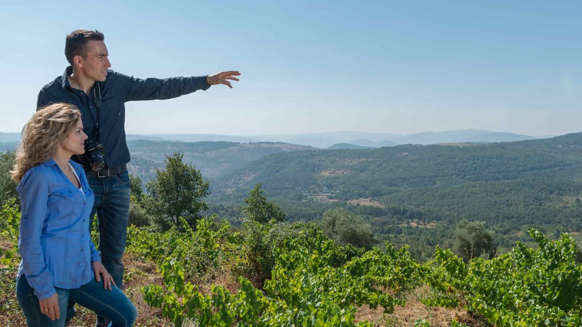 La Ruta del Vino Sierra de Francia situada al sur de la provincia de Salamanca, articulada sobre la D.O.P. Sierra de Salamanca con una superficie de 482,10 km2. Situada a escasos 60 km de Salamanca, ciudad Patrimonio Mundial, a 200 km de Valladolid y 250 de Madrid, se convierte en un destino atractivo para todo tipo de turismo.