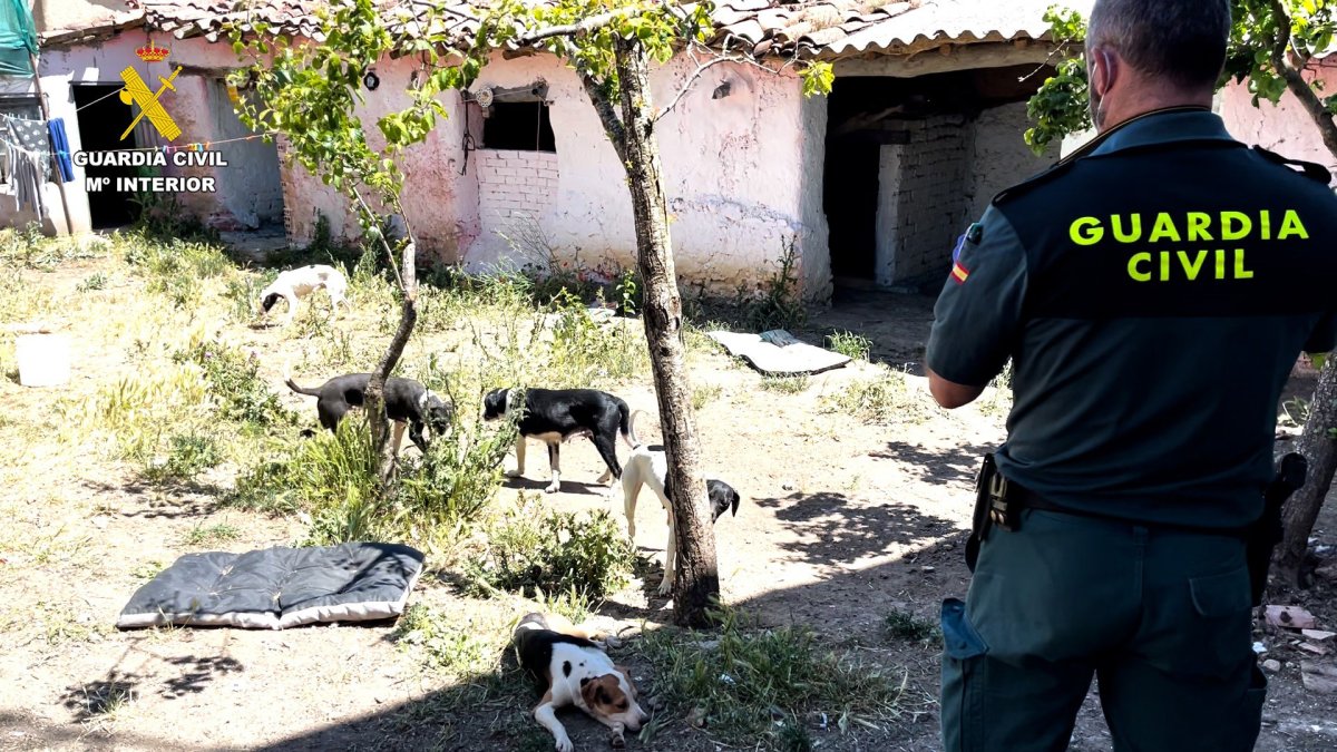 GUARDIA CIVIL - Archivo