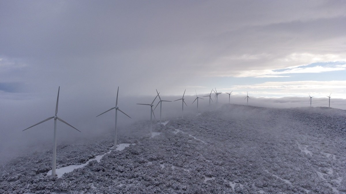 Parque eólico Sierra de Dueña de Iberdrola, enclavado en la dehesa salmantina, cubierto por un manto blanco de nieve. Esta emblemática instalación renovable está compuesta por 37 aerogeneradores que suman una potencia de 31,5 megavatios (MW)