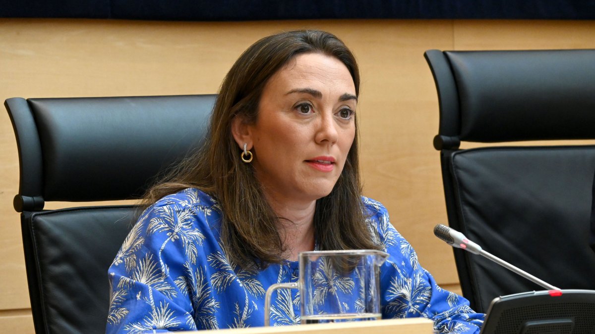 La consejera de Movilidad y Transformación Digital, María González Corral, durante su comparecencia en las Cortes.