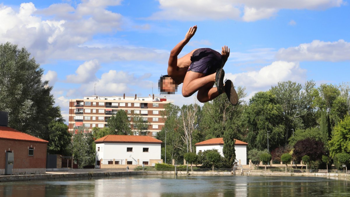 Un joven se lanza al agua en el canal de Castilla.