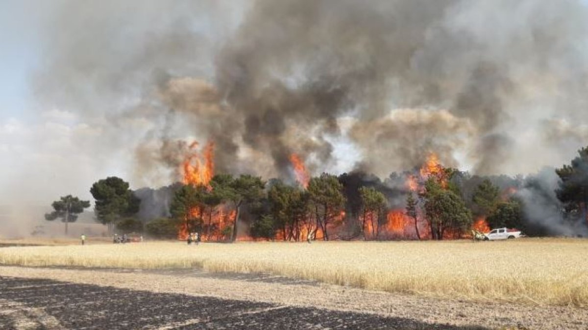 Imagen del incendio de Los Rábanos en Soria