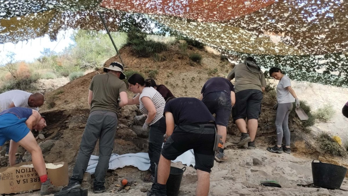 El grupo de investigadores en los trabajos de excavación de la campaña en Hortezuelos.