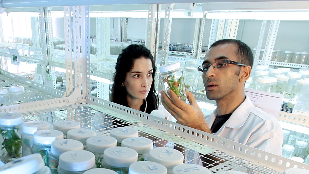 Dos investigadores realizan un experimento sobre productos vegetales en un laboratorio