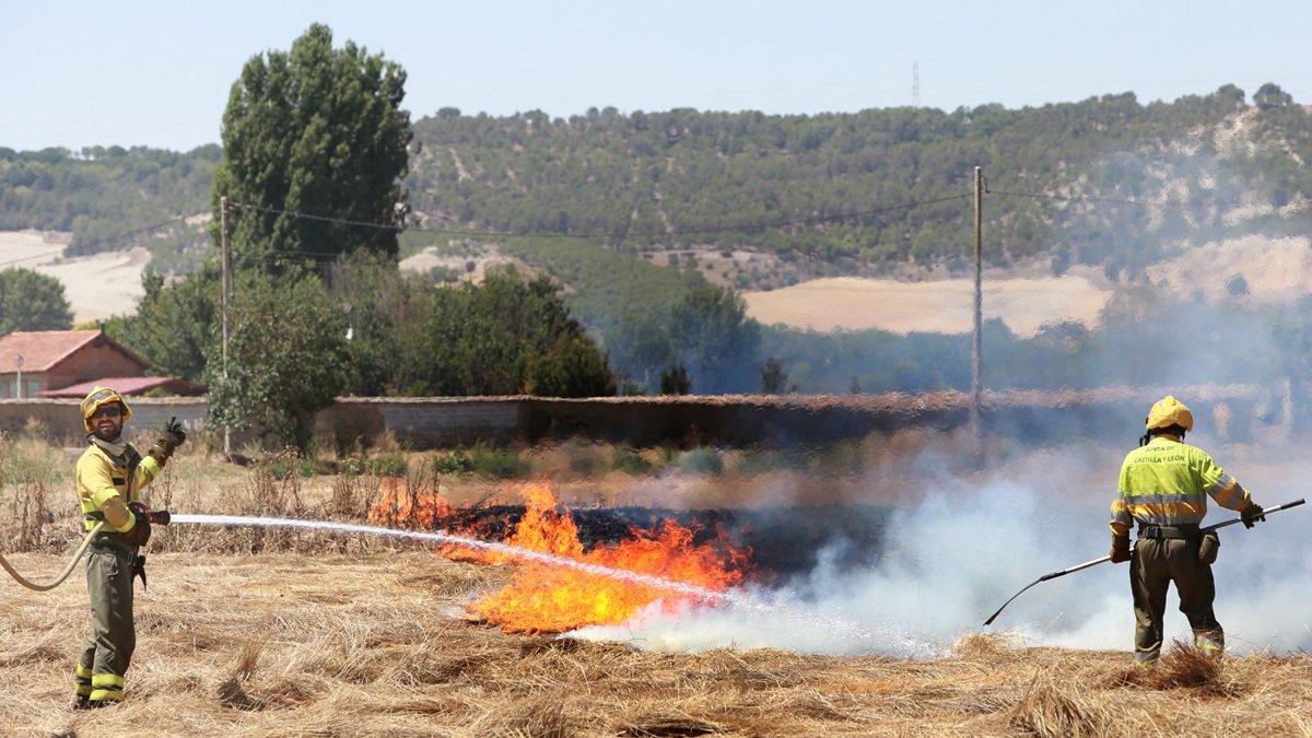 Un incendio agrícola entre la N-610a y el Camino de San Román ha movilizado a varios camiones del parque de bomberos de Palencia y bomberos de la Junta.