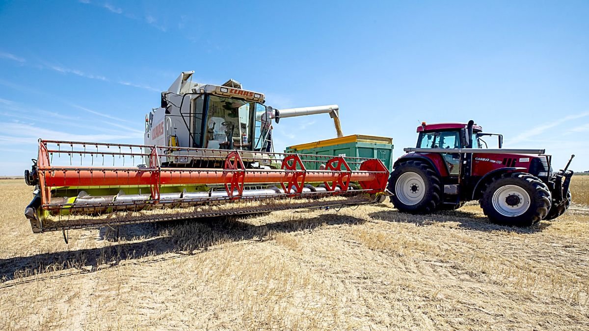 Cosechadora en un campo de cereal de la provincia de Ávila. ICAL