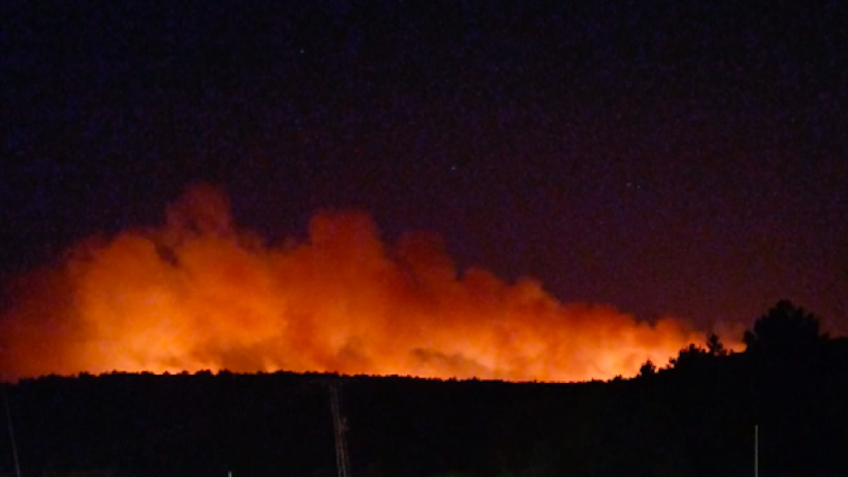 Imagen de la zona afectada en Alcañices (Zamora)