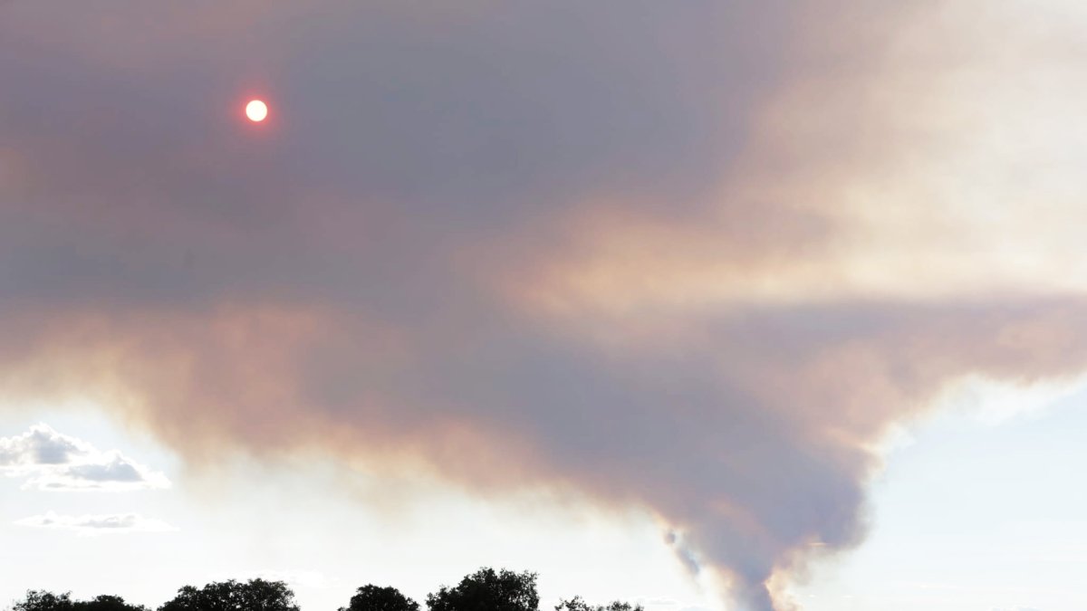 Imagen del incendio forestal de Trabazos en Zamora