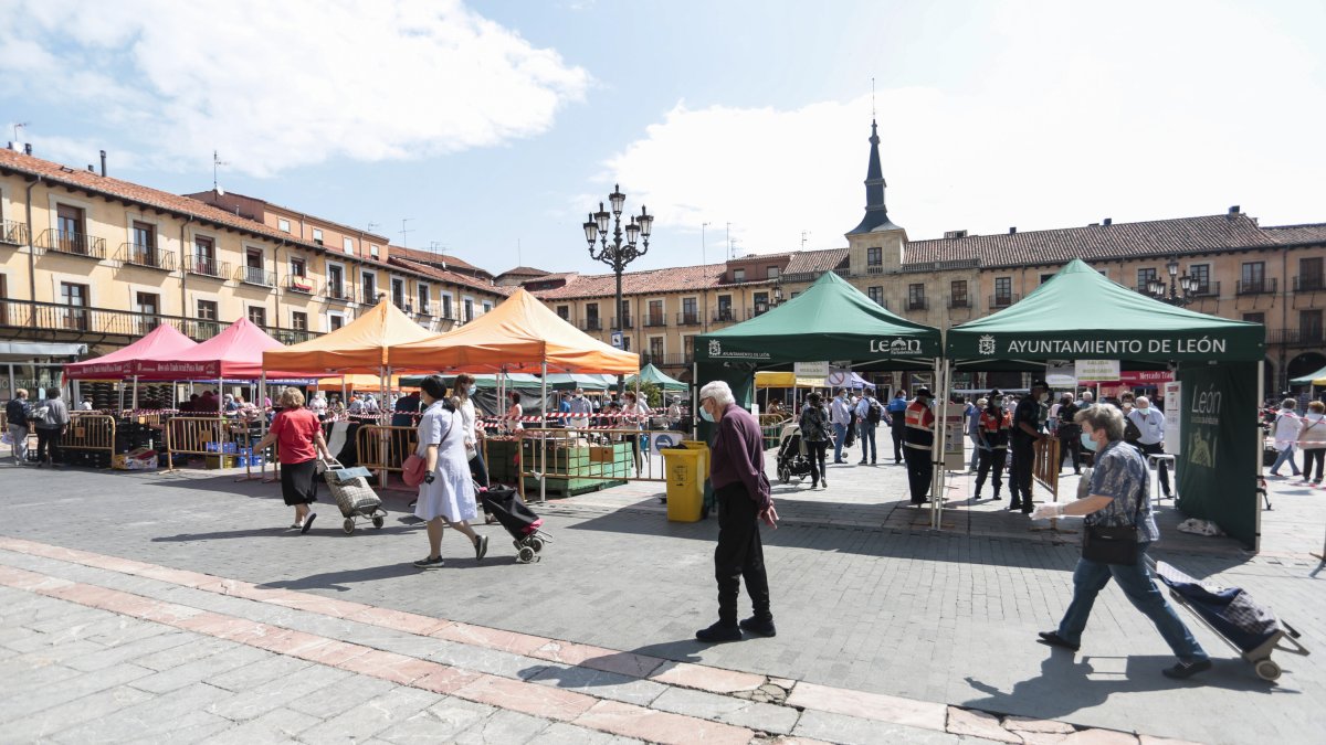 Primera jornada de reapertura del mercado de frutas y verduras de la Plaza Mayor de León