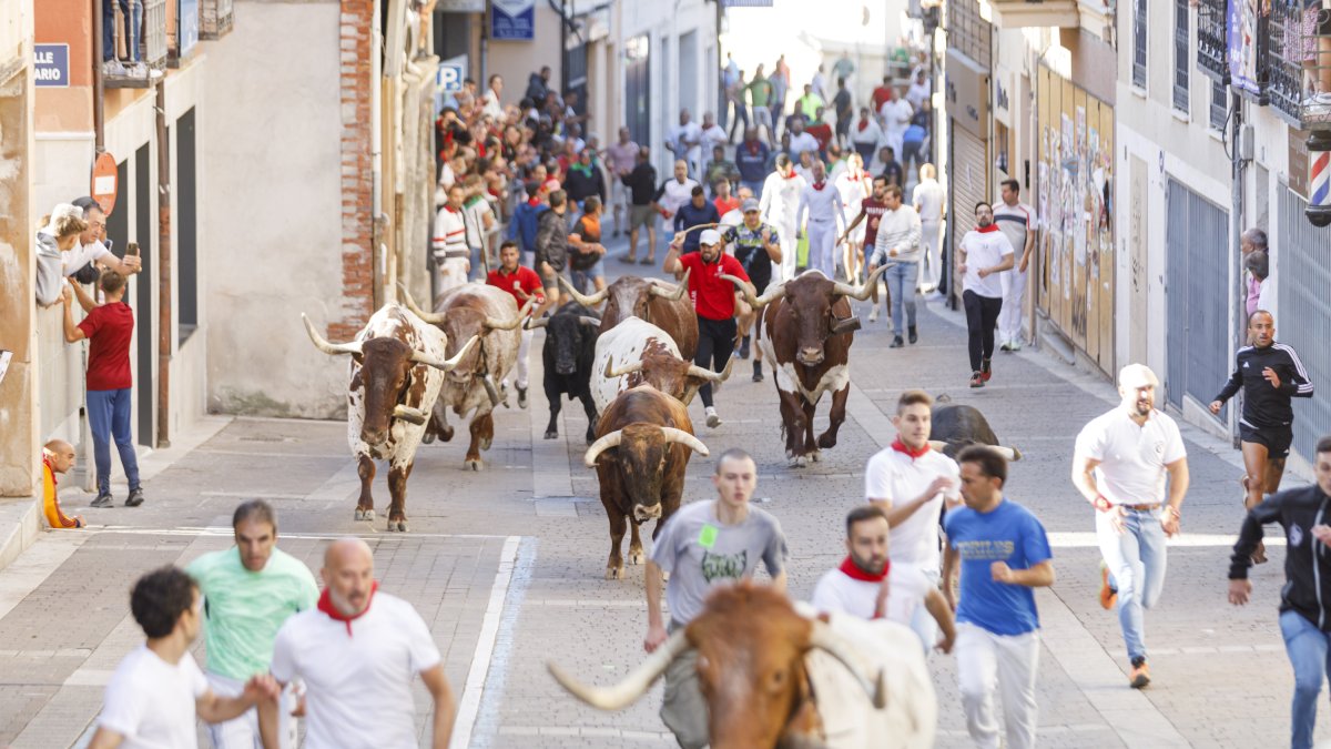 Primer encierro de Cuéllar (Segovia).