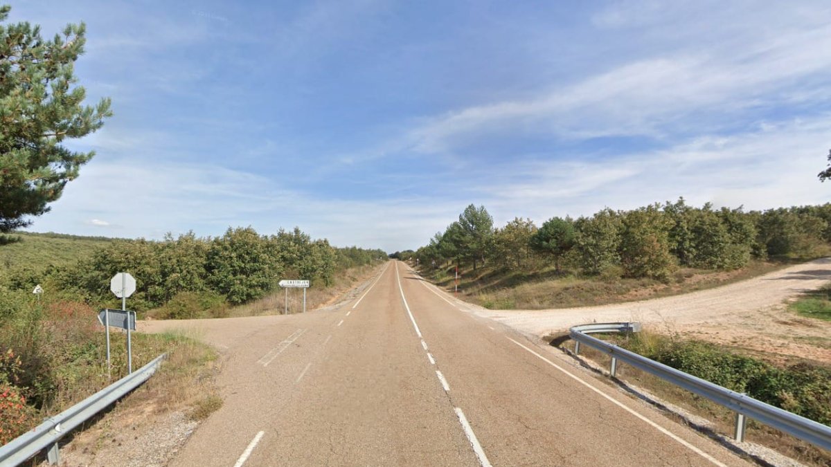 Carretera P-225 en el término de Castrejón de la Peña, Palencia, donde tuvo lugar el accidente