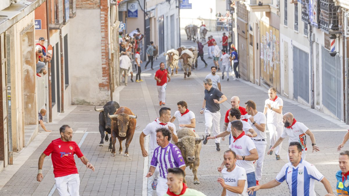 Precioso encierro en su parte urbana con novillos de la ganadería Núñez del Cuvillo