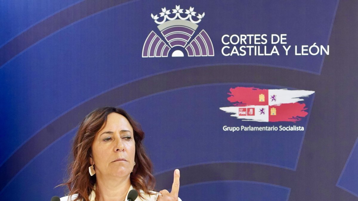 La secretaria general del Grupo Parlamentario Socialista en las Cortes de Castilla y León, Rosa Rubio.