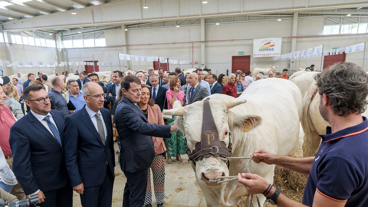 El presidente de la Junta en la inauguración de la Feria del Sector Agropecuario Salamaq 2024. JUNTA