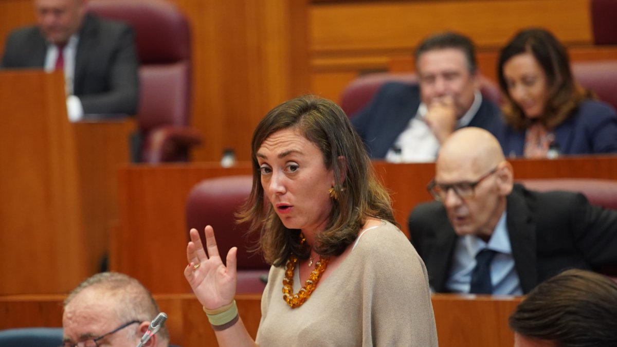 La consejera de Agricultura, Ganadería y Desarrollo Rural, María González Corral