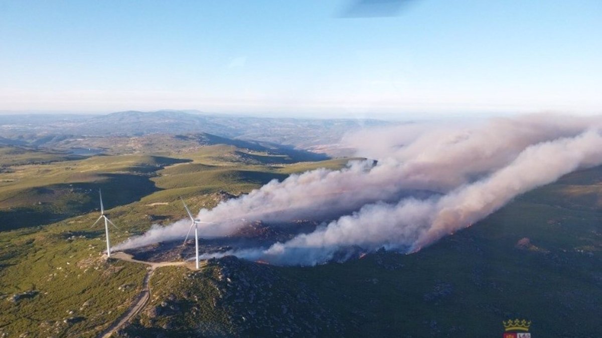 Columnas de humo del incendio de La Tejera (Zamora).