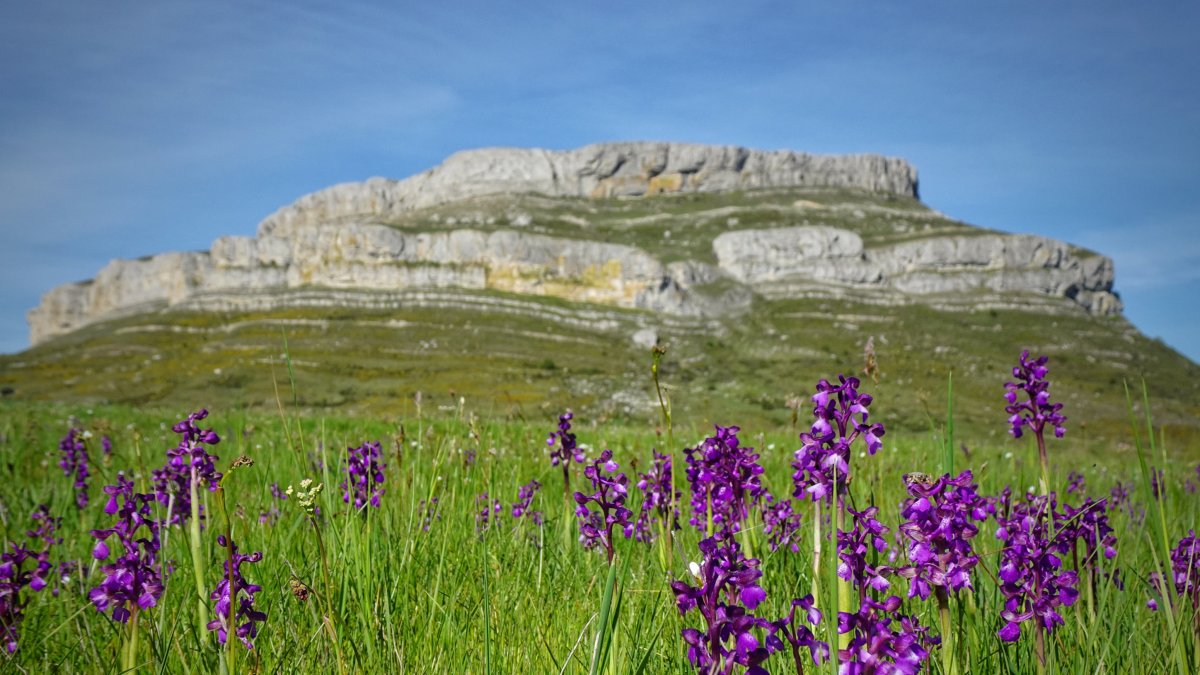 Laboratorio GAD-EX: Acciones de mejora de la biodiversidad a través de la ganadería extensiva en el Geoparque Unesco Las Loras.