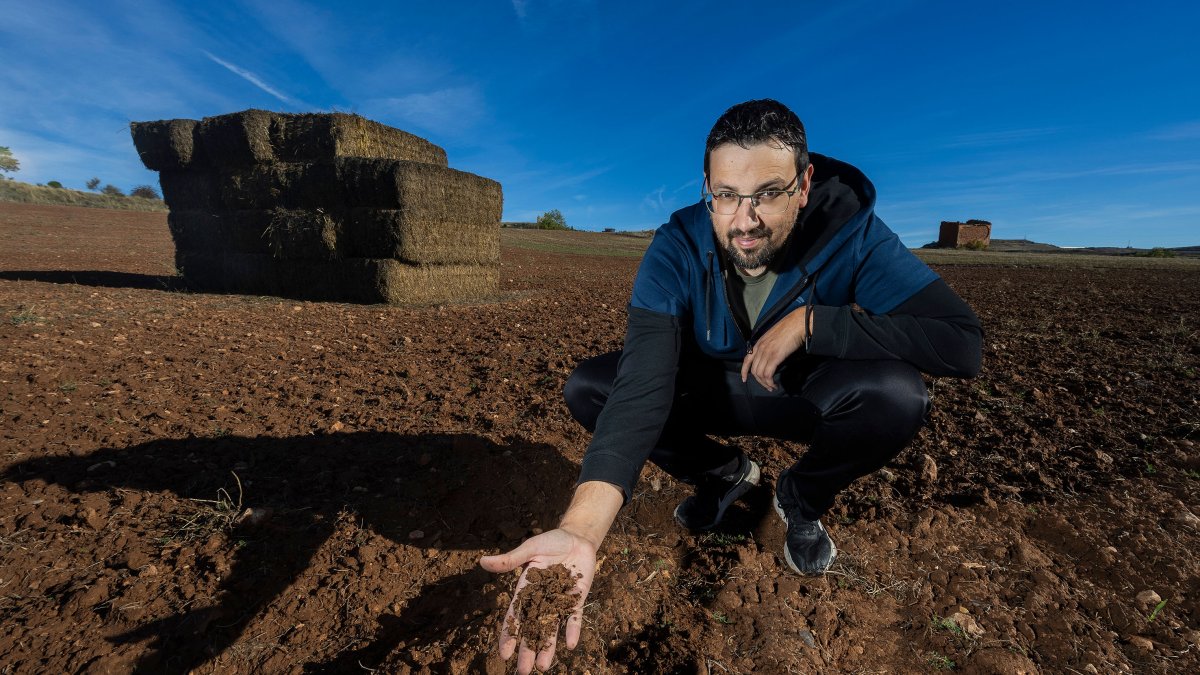 Juan Antonio Alarzón tiene 200 hectáreas en el norte de Burgos.